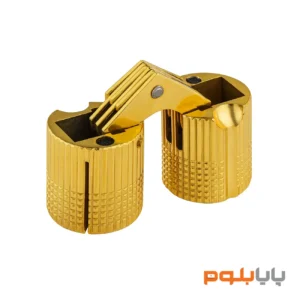 لولا مخفی برنجی