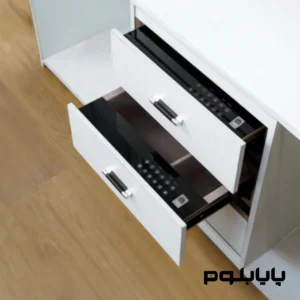 گاو صندوق دیجیتال کد WS4138